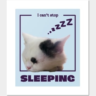 I can't stop sleeping Posters and Art